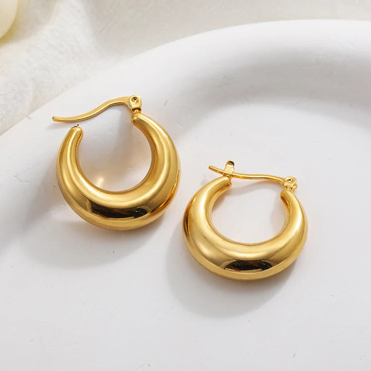 Fashion Glossy Stainless Steel Chunky Hoops